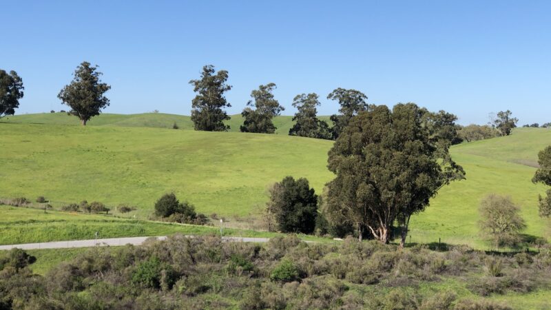Pearson-Arastradero Preserve - Palo Alto, CA