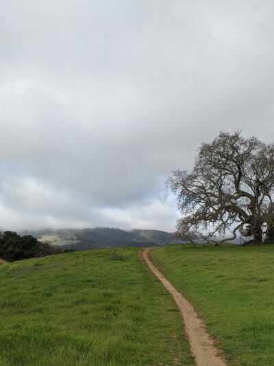 Pearson-Arastradero Preserve - Palo Alto, CA