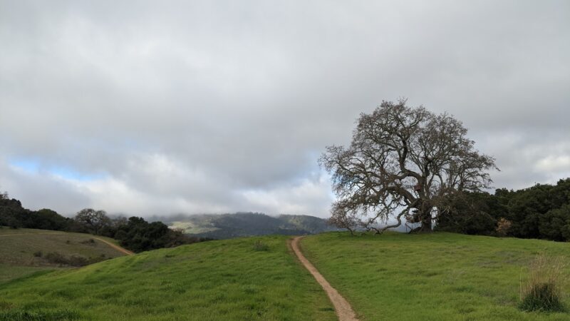 Pearson-Arastradero Preserve - Palo Alto, CA