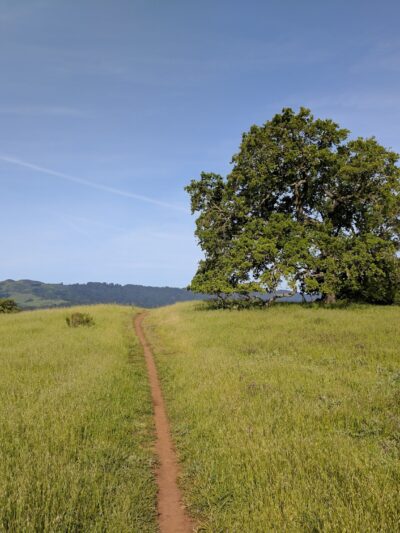 Pearson-Arastradero Preserve - Palo Alto, CA