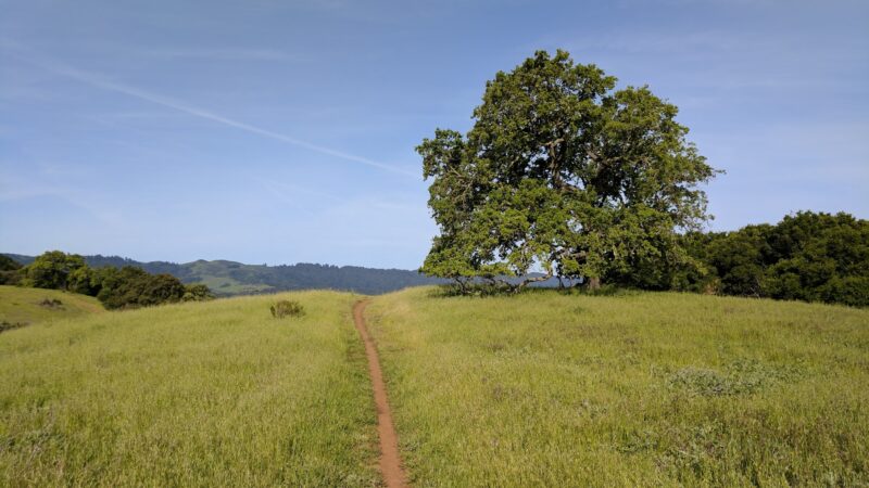 Pearson-Arastradero Preserve - Palo Alto, CA
