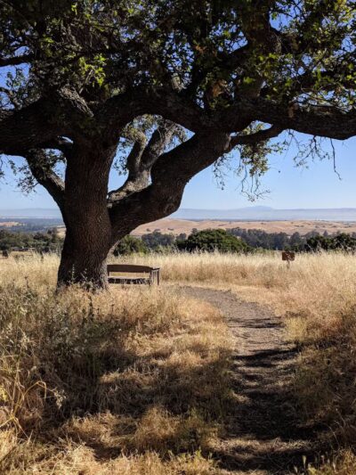 Pearson-Arastradero Preserve - Palo Alto, CA