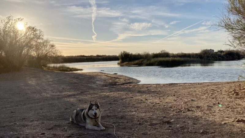 Palo Verde County Park - Palo Verde, CA