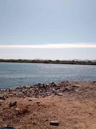 Palo Verde County Park - Palo Verde, CA