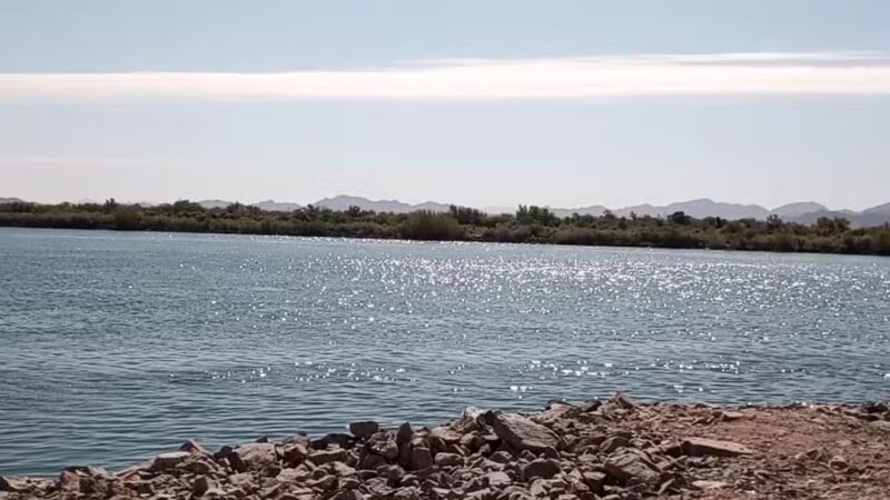 Palo Verde County Park - Palo Verde, CA