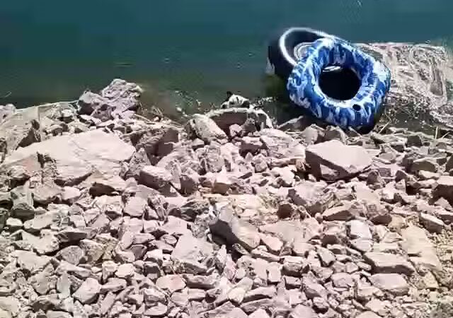 Palo Verde County Park - Palo Verde, CA