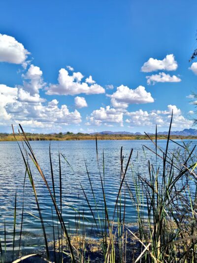 Palo Verde County Park - Palo Verde, CA