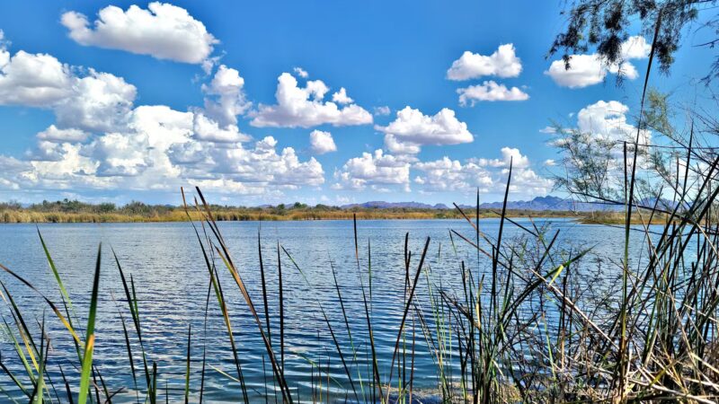 Palo Verde County Park - Palo Verde, CA
