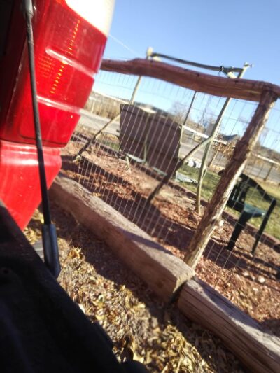 Duffield dog park - Panaca, NV