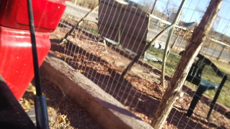 Duffield dog park - Panaca, NV