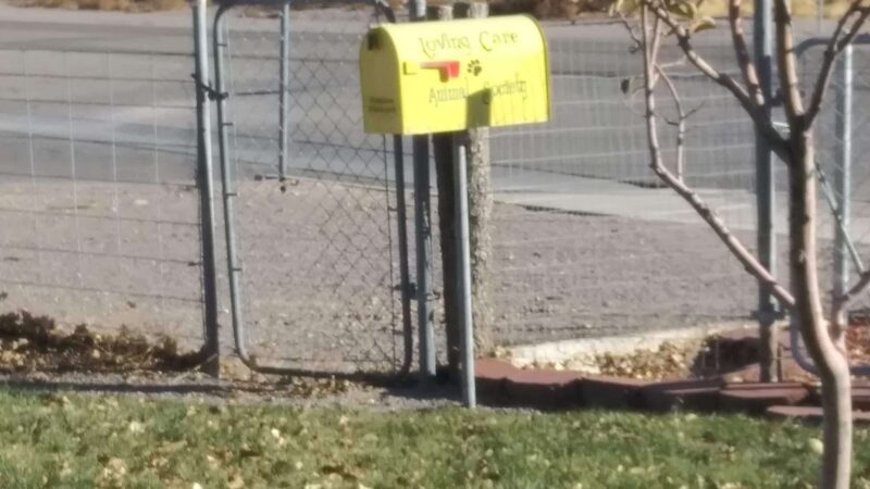 Duffield dog park - Panaca, NV