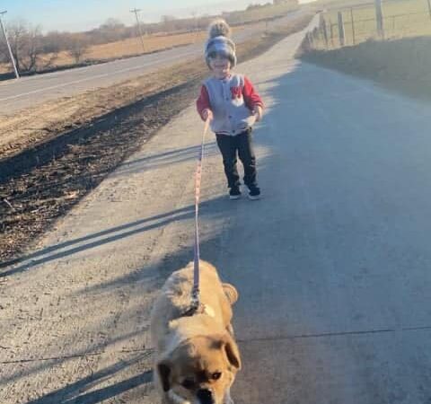 Panama Bike Trail - Panama, IA