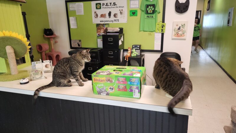 Panora PETS - Panora, IA