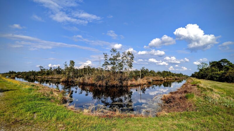 Pungo Unit of Pocosin Lakes National Wildlife Refuge - Pantego, NC