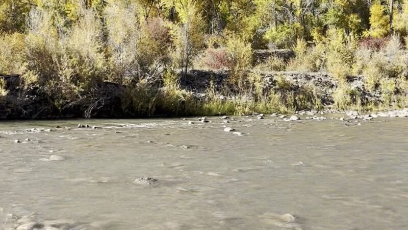 Paonia River Park - Paonia, CO