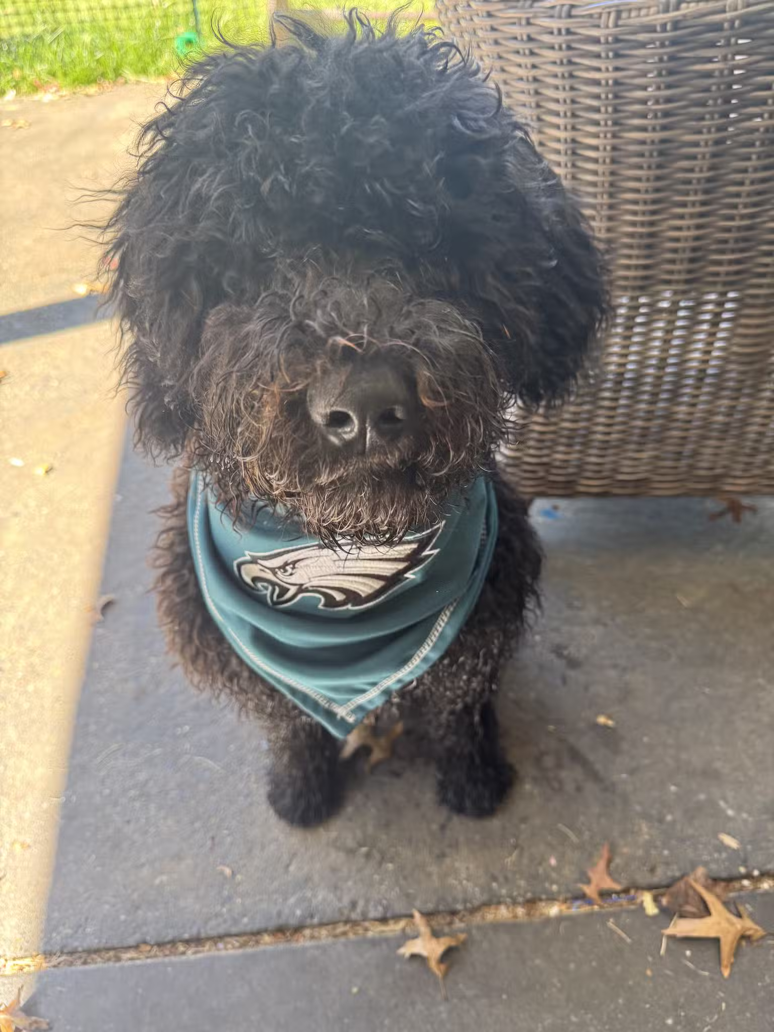 PORTIES OF PARADISE - Paradise, PA