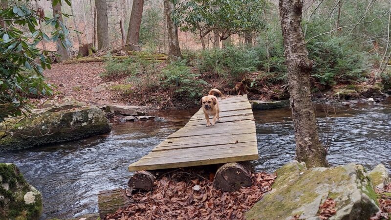 Van Buskirk Farm Preserve - Paradise Valley, PA