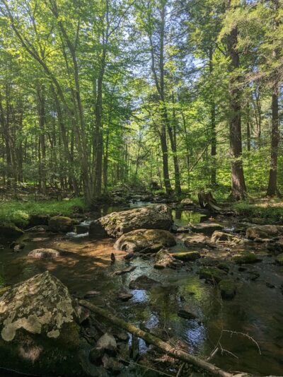 Van Buskirk Farm Preserve - Paradise Valley, PA