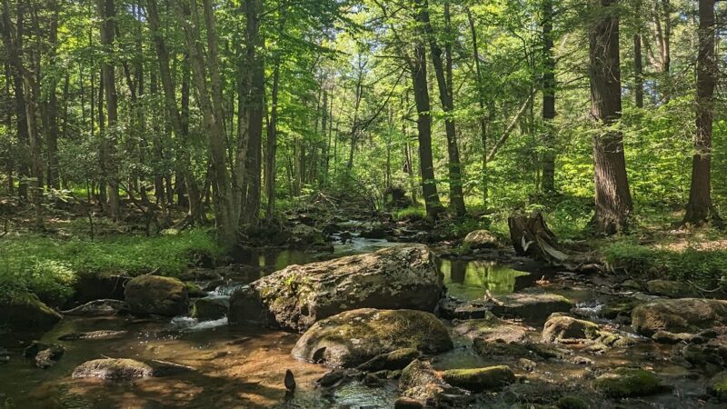 Van Buskirk Farm Preserve - Paradise Valley, PA