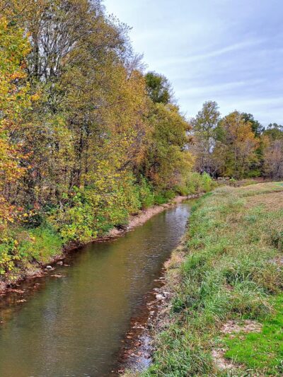8 Mile Creek Trail - Paragould, AR