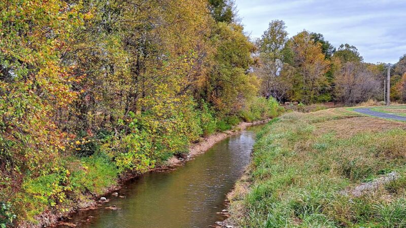 8 Mile Creek Trail - Paragould, AR