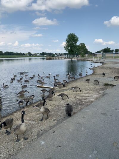 Reynolds Park - Paragould, AR