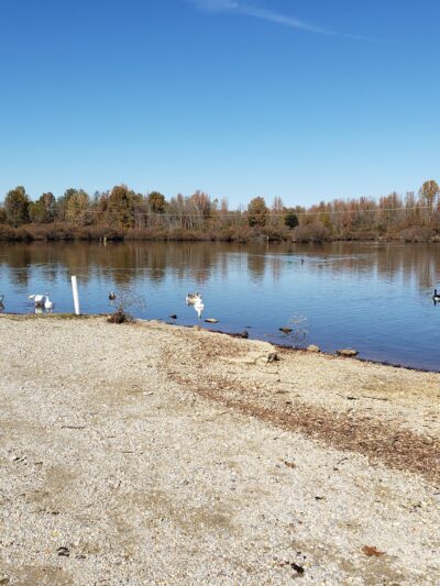 Reynolds Park - Paragould, AR