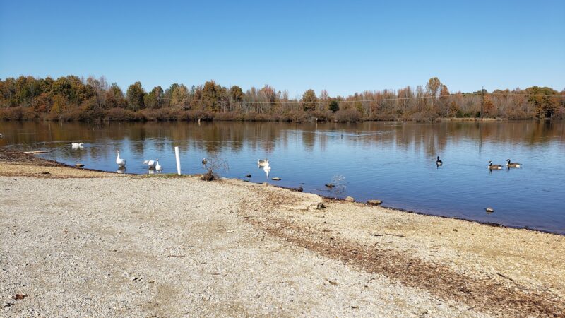 Reynolds Park - Paragould, AR