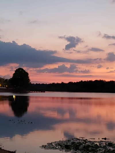 Reynolds Park - Paragould, AR