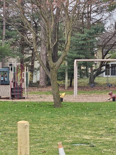 Di Maggio Park - Paramus, NJ