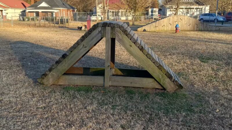 Atkins Porter Dog Park - Paris, TN