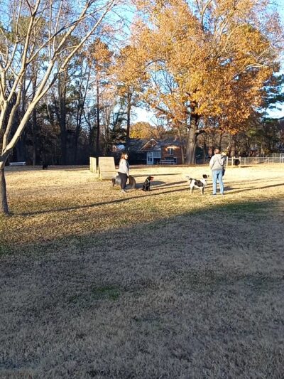 Atkins Porter Dog Park - Paris, TN