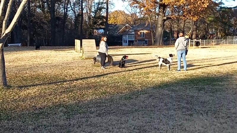 Atkins Porter Dog Park - Paris, TN