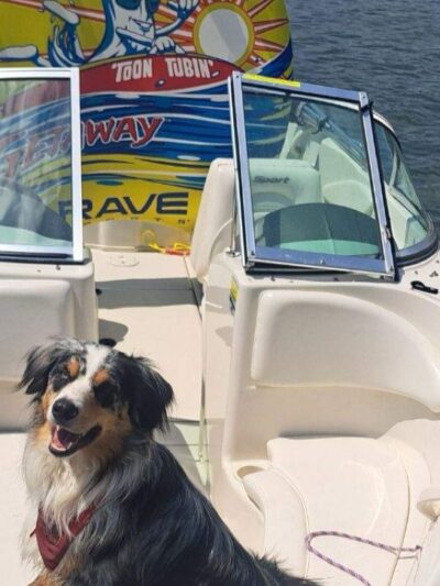 Park Rapids Boat Rental - ,