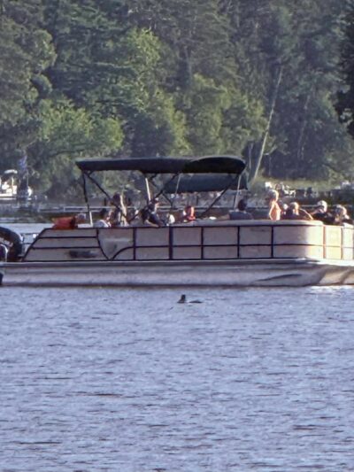 Park Rapids Boat Rental - ,