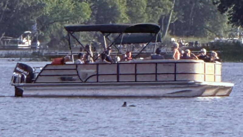 Park Rapids Boat Rental - ,
