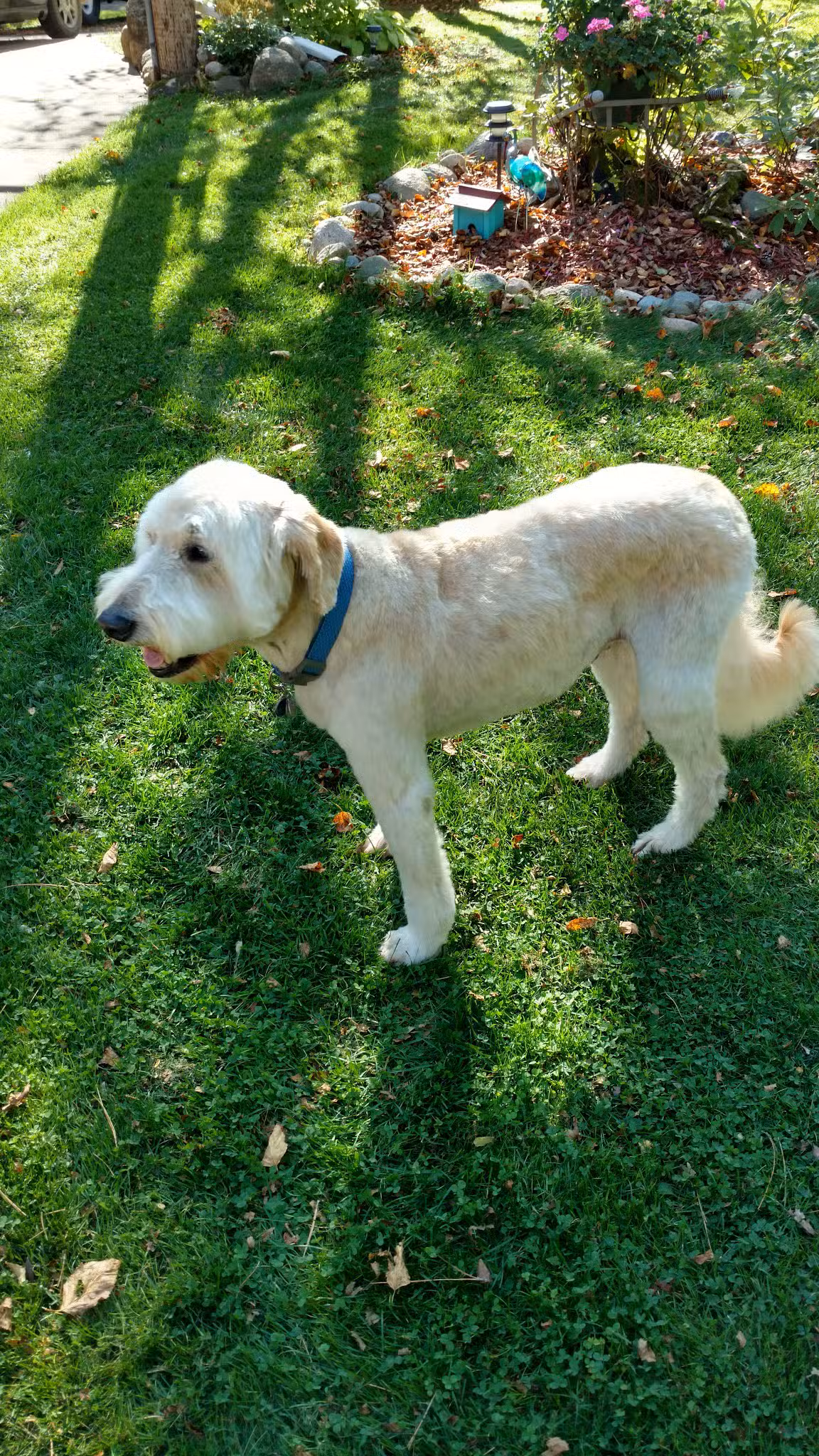 Dogs Paw Inc. - Park Rapids, MN