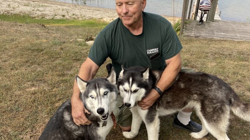 Dogs Paw Inc. - Park Rapids, MN