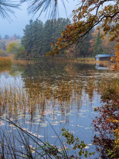 Fishhook Lake Public Access - Park Rapids, MN