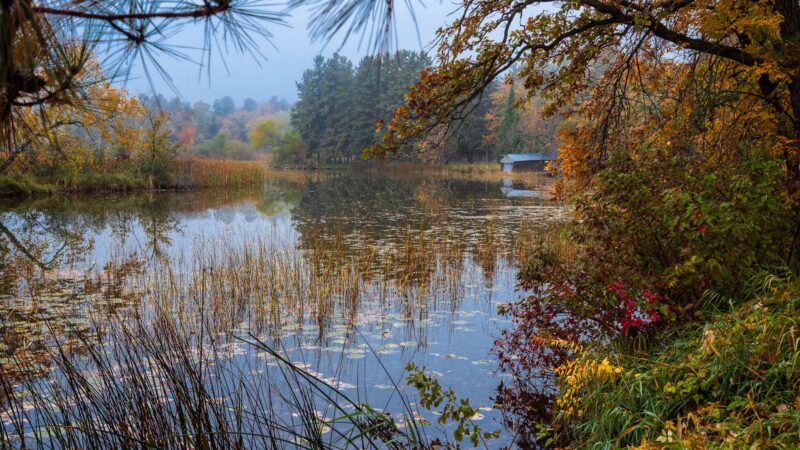 Fishhook Lake Public Access - Park Rapids, MN