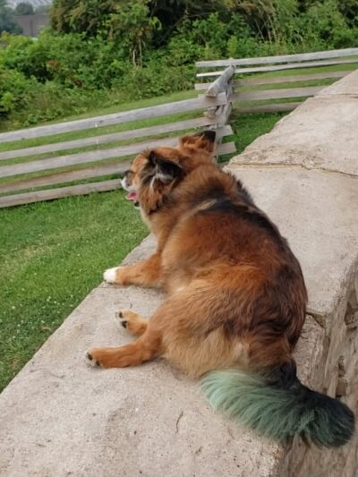Fort Boreman Park - Parkersburg, WV