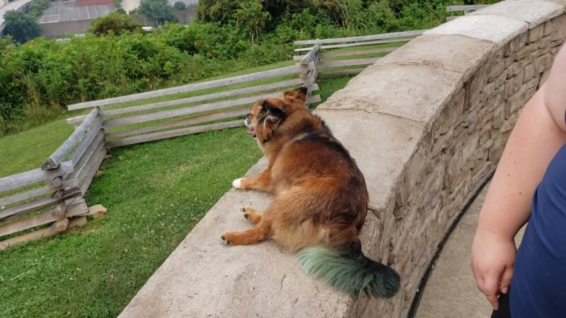 Fort Boreman Park - Parkersburg, WV