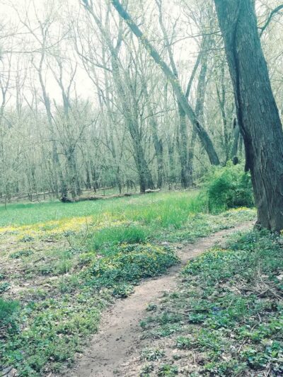 Johnson T. Janes Park - Parkersburg, WV