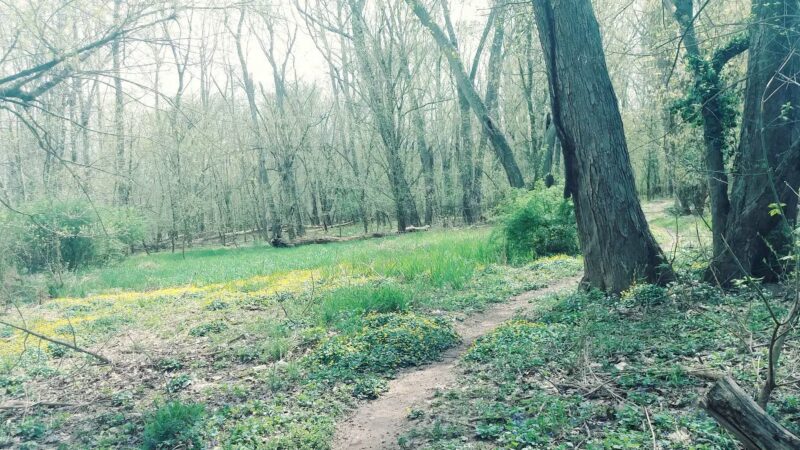 Johnson T. Janes Park - Parkersburg, WV