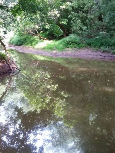 Johnson T. Janes Park - Parkersburg, WV