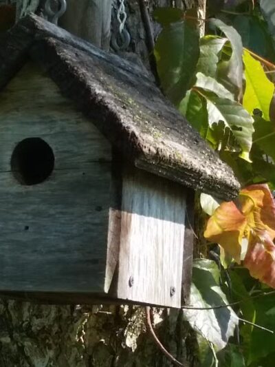 WVUP Walking Trail - Parkersburg, WV