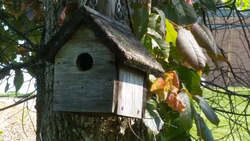 WVUP Walking Trail - Parkersburg, WV