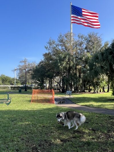 Barkland Dog Park - Parkland, FL