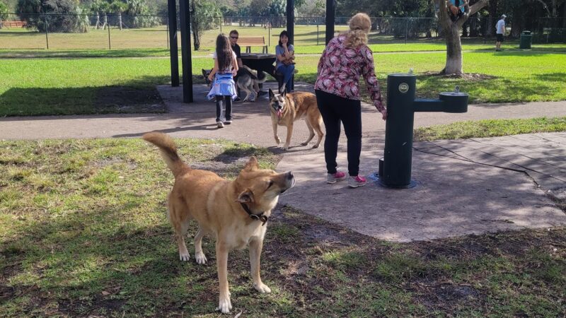 Barkland Dog Park - Parkland, FL