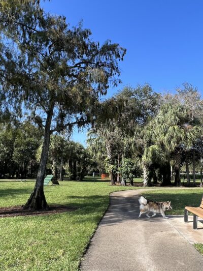 Barkland Dog Park - Parkland, FL